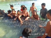 Whale Shark Ride 2.jpg
