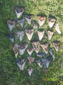 100_1223.jpg