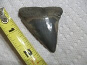 100_1019.jpg