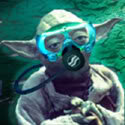 avatar.jpg