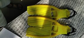 IMG_20230125_122620.jpg