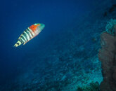 _1010224-Edit.jpg