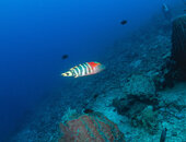 _1010225-Edit.jpg