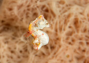 AdobeStock_193007835.jpeg