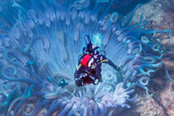 CR_P_LSlawson_Macro Photographer_1st.jpg