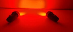 20230308_053856.jpg