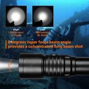 D530 dive flashlight.jpg