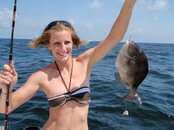 Amanda's Triggerfish.jpg