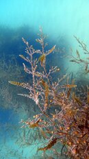 DSC02671-2.jpg