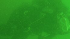 100_0650.jpg
