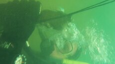 100_0662.jpg