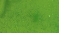 100_0664.jpg