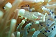 DSC01131-2.jpg