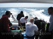 ocdb_4_14_2012_1.jpg ocdb_4_14_2012_1.jpg