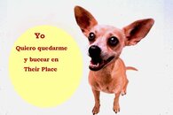 Taco.jpg
