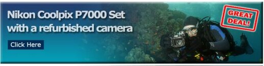 11185Banner.jpg