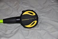 DSC_4206.jpg