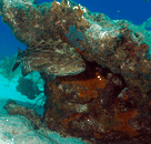 3CB24C5D-B461-4FB2-8A1F-EA5186ACF32B.gif