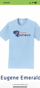 FAFFDCB4-D959-48B8-AA20-0635D4801FBC.png