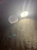 IMG_0769.jpg