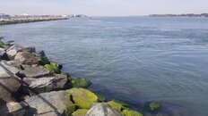 20230414_105052.jpg