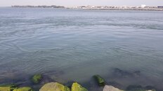 20230414_105054.jpg