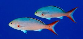 IMG_1865.jpg