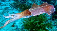IMG_2142.jpg