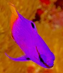 IMG_3416.jpg