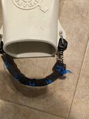 IMG_3277.jpeg