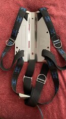 Halcyon_backplate_front.jpg