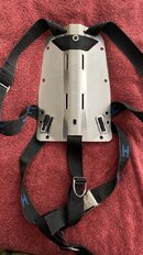 Halcyon_backplate_back.jpg