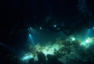 IMG_7777.jpeg