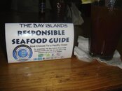 DSC05032.jpg