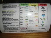 DSC05033.jpg