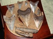 DSC09710.jpg