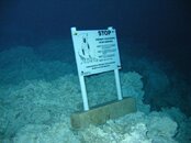 Cave-Sign.jpg