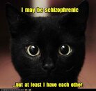 e2dcf_funny-pictures-i-may-be-schizophrenic.jpg