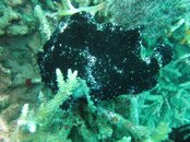 IMG_2696.jpg