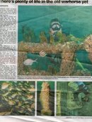 img031.jpg