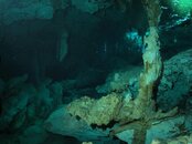 0939-cenote-snorkeling.jpg