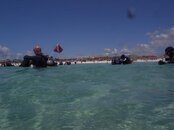 divers.jpg