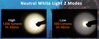 warm white D530.png