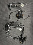 IMG_0239.jpeg