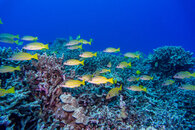 DSC04507-320.jpg