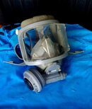 Full Face Mask.JPG