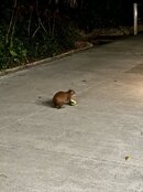 IMG_3081.jpeg
