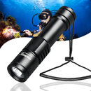 D520 dive flashlight.jpg