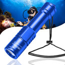 D520 scuba diving light.jpg