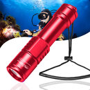 D520 underwater flashlight.jpg